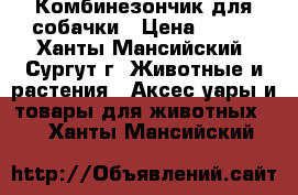 Комбинезончик для собачки › Цена ­ 700 - Ханты-Мансийский, Сургут г. Животные и растения » Аксесcуары и товары для животных   . Ханты-Мансийский
